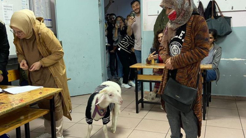 Kazak giydirdiği kuzusuyla oy kullanmaya geldi