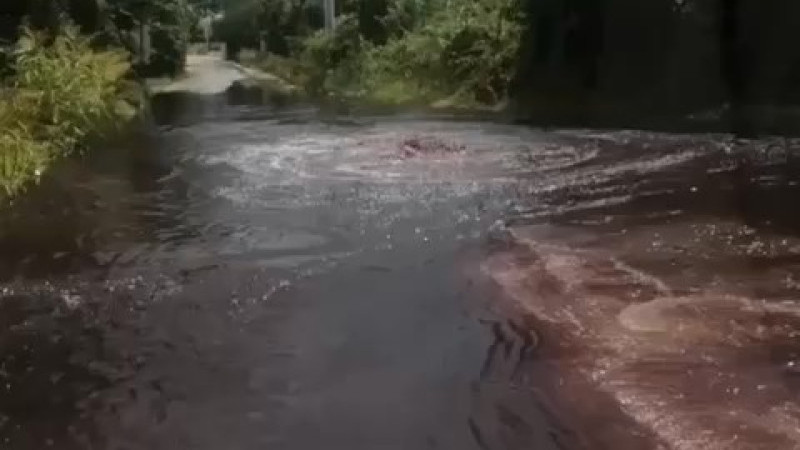 Bursa'da fabrikaların atıkları bahçelere aktı