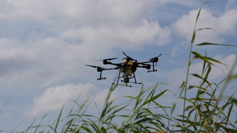 Bursa'da drone ile sinek avı