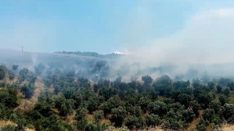 Bursa'da yangın! O yere çok sayıda ekip gönderildi