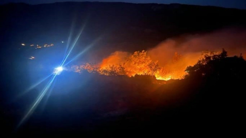 Bursa'daki orman yangınından çarpıcı görüntüler