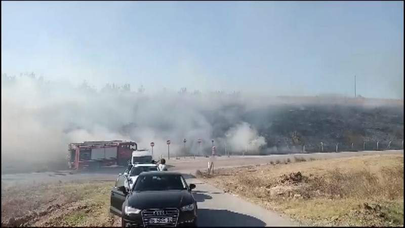 Gençlerin tehlikeli oyunu ormanı yakacaktı