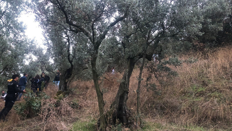 Bursa'da zeytin ağacına asılı bulunan kadınla ilgili şok detay