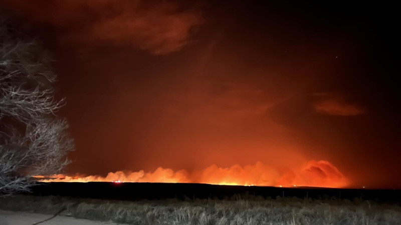 Texas’ta orman yangınları: İtfaiyeciler alevlerin arasında kaldı