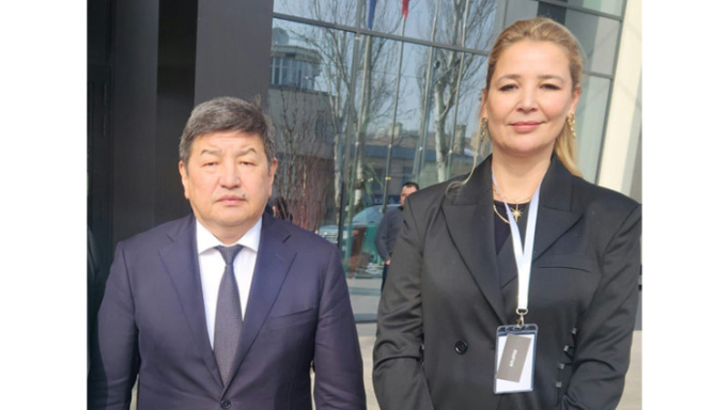 Türk Şirketleri Orta Asya'da yatırım radarında