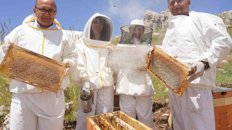 Erzincan’da 100 bin üzeri kolonide 1 milyon kilogram bal üretiliyor