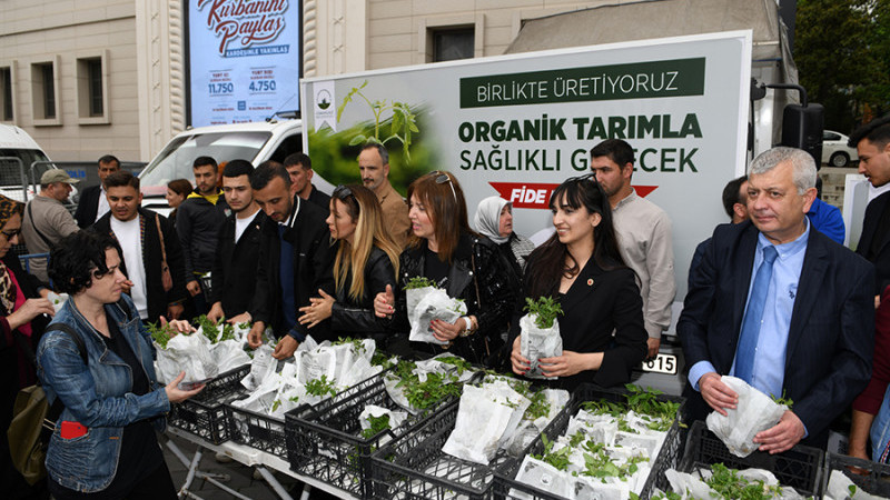 Osmangazi Belediyesi’nden vatandaşa 100 bin fide