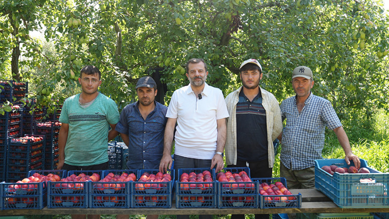 Şeftalinin ana vatanına AB'den tescil müjdesi