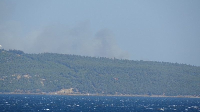 Çanakkale’de orman yangını