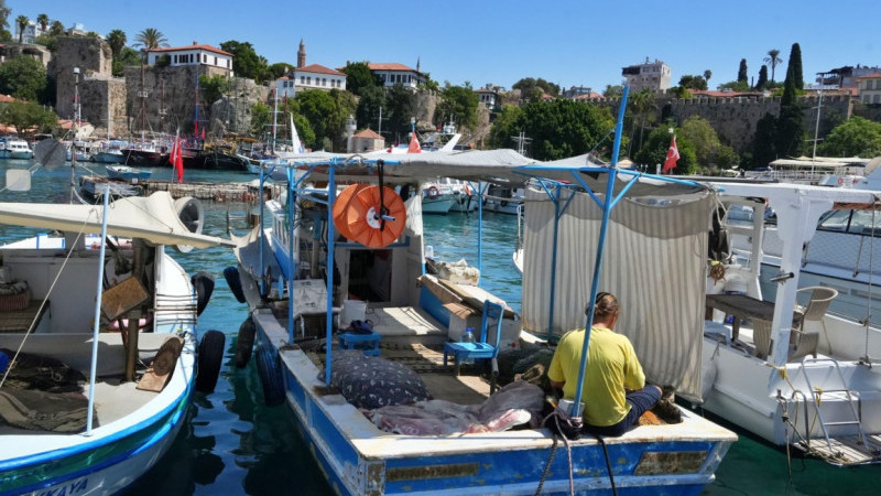 Antalya’da rekor sıcaklık denizdeki balık türlerini ve omurgasız canlıları yok ediyor