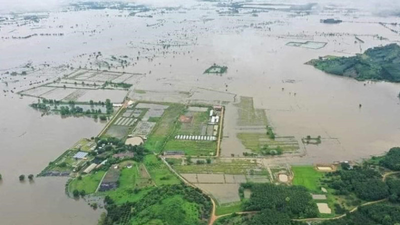 Tayland’da sel ve toprak kayması: 22 ölü, 19 yaralı