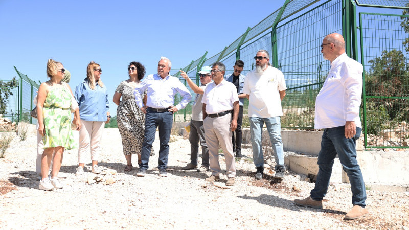 Başkan Şadi Özdemir sokak hayvanları için hazırlanan projeyi inceledi