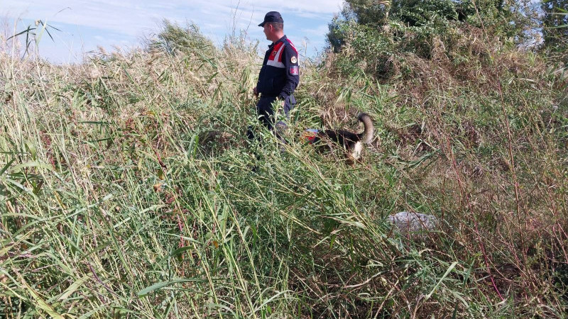 Günlerdir aranıyordu, cansız bedeni yol kenarında bulundu