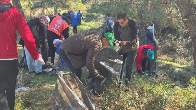 Ormanlar karış karış temizledi