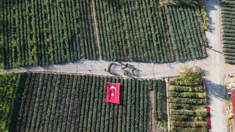 Cumhuriyetin 101. yılı için zeytin fidanlarıyla Türk Bayrağı'nı oluşturdu