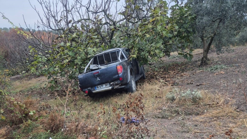 İşçileri taşıyan kamyonet ağaca çarptı