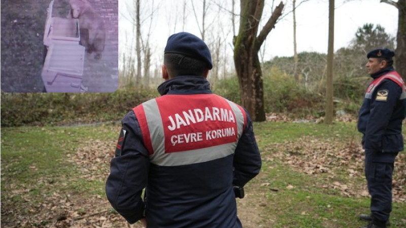 Bursa'da barınaktan firar eden ayı halen aranıyor!