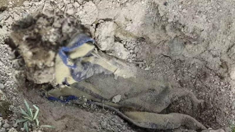 Battaniyeye sarılı şeyi görünce hemen polisi aradı!