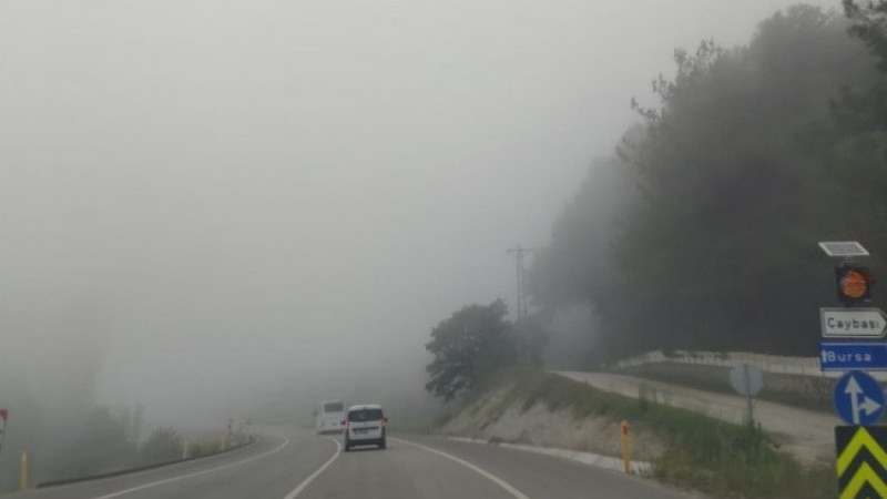 Bursa'da sis alarmı! O ilçelere gidecekler dikkat: Görünmüyor...