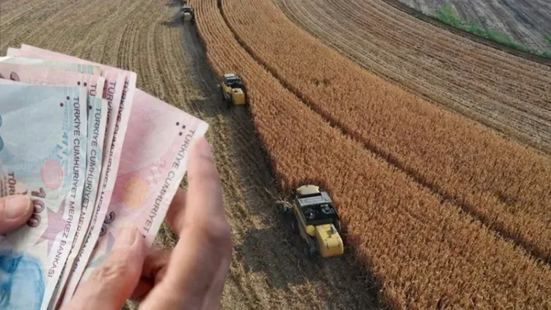 Bakan Yumaklı'dan çiftçilere müjde! Bugün hesaplara yatacak