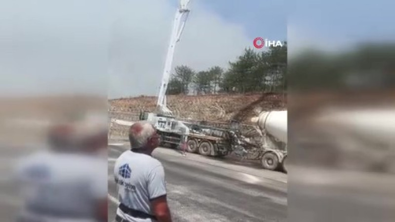 Beton değil su pompaladılar: Ormanda hayvan çığlıkları yürek dağladı