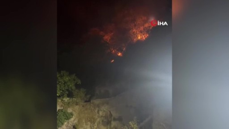 Bursa'da havai fişekle yangın çıkaran 4 kişi yakalandı