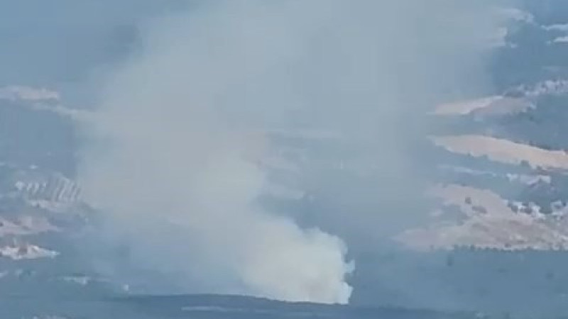 Bursa İznik'te orman yangını