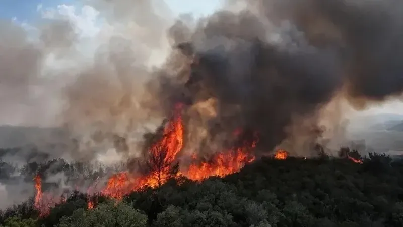 Çanakkale'de alevler saatler sonra kontrol altında