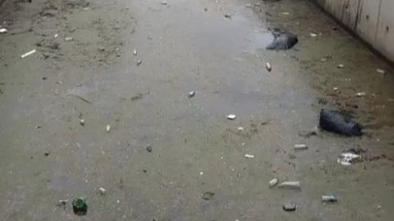 Bursa Gemlik körfezi çöplüğe döndü