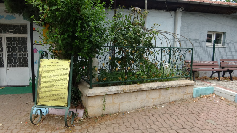 Osmanlı'nın önemli aliminin kabri, yalnızlığa terk edildi