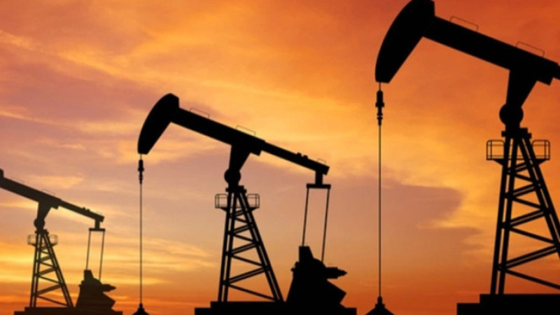 TPAO harekete geçti! Mersin ve Adana'dan petrol mü çıkacak?