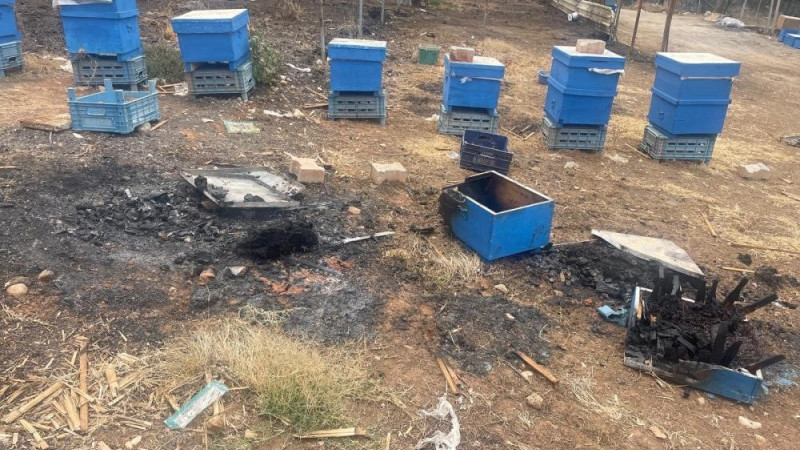 Yangın mağduru arıcılara Bursa Büyükşehirden kovan desteği